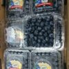 Blueberries, Blueberry, Arándanos azules - dCTC PANAMA