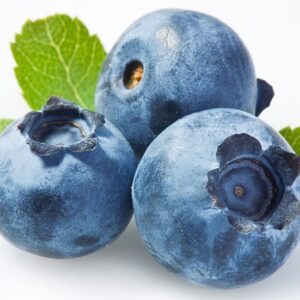 blueberry, Arándanos azules dCTC PANAMA